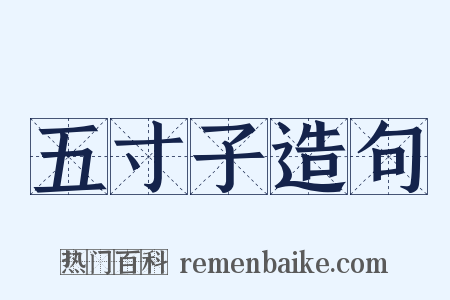 五寸子造句是什么意思的图片